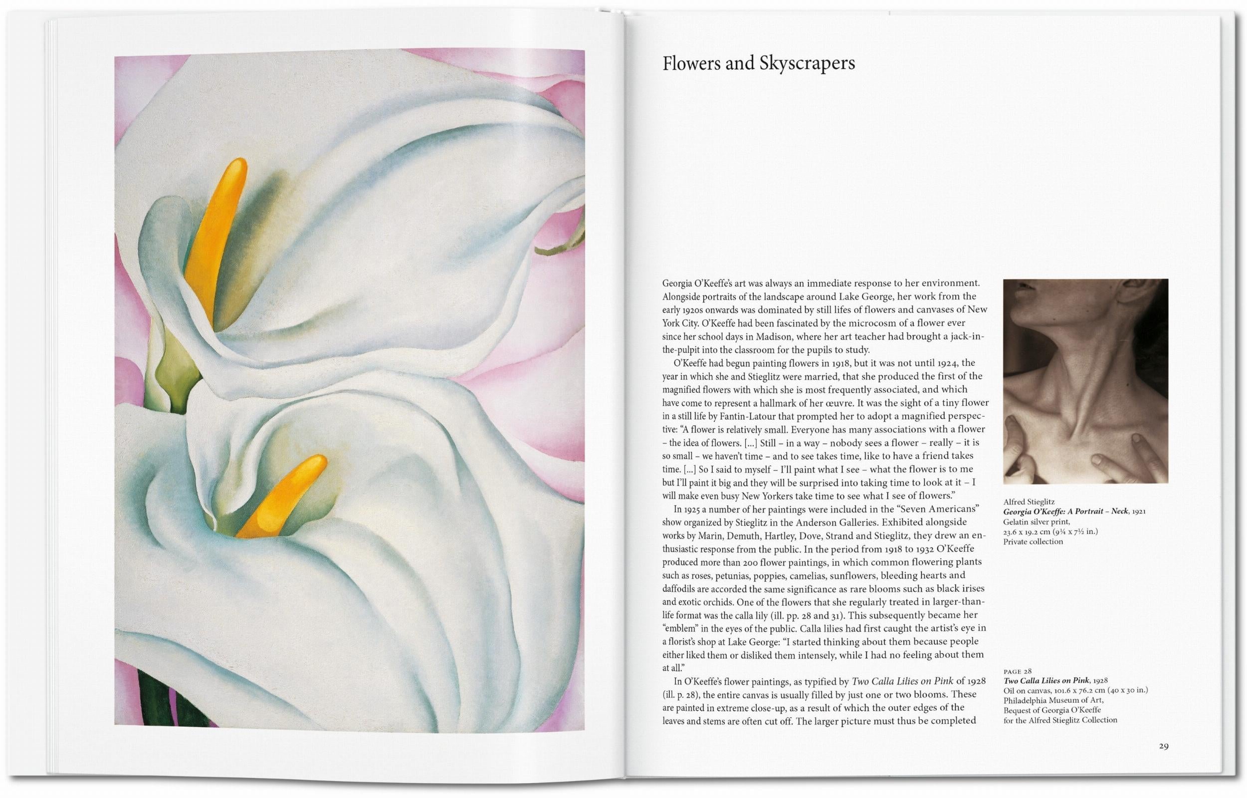 Taschen-O'Keeffe (English)-Art-Black-Deal-Outlet-by-ARCHIVIST