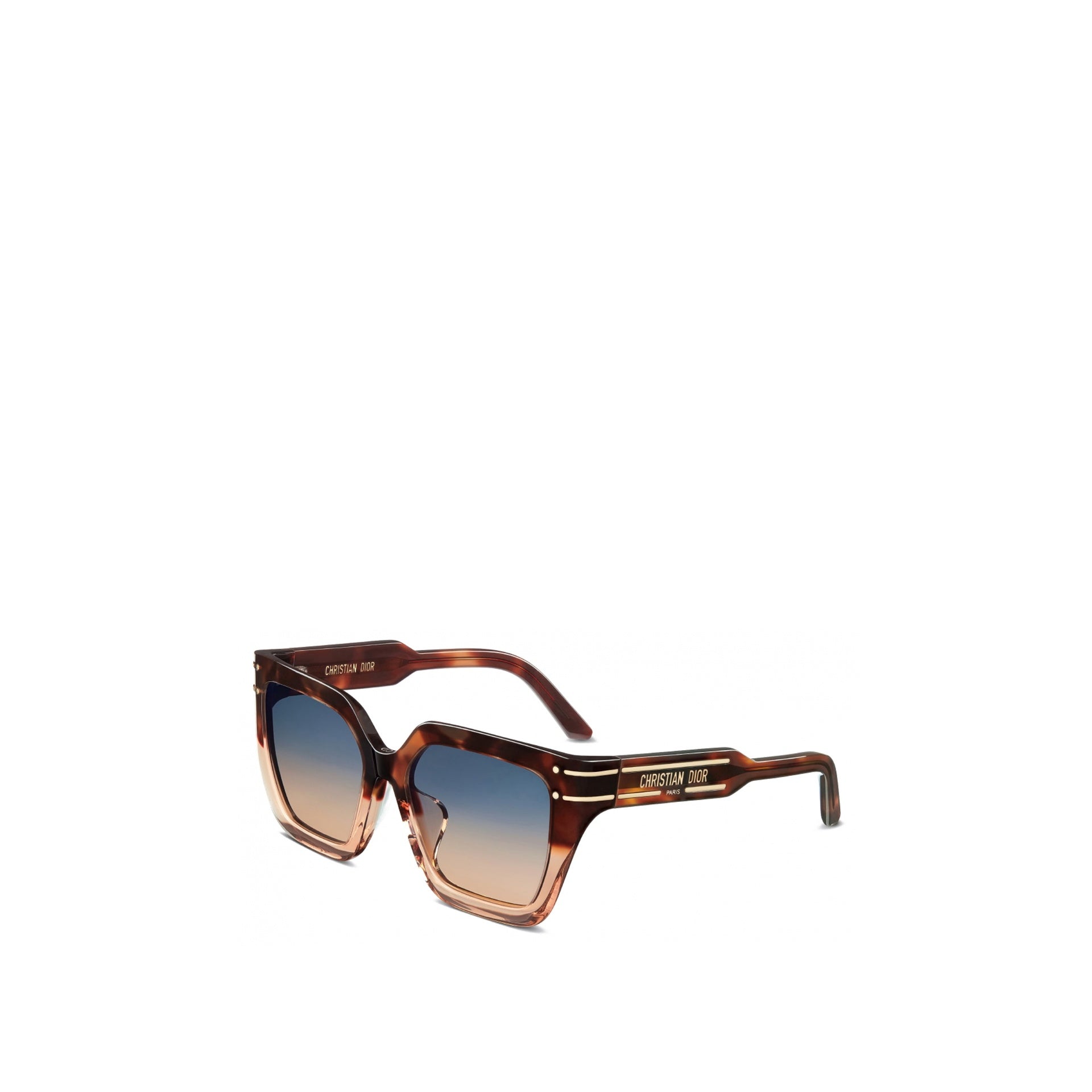 Dior DiorSignature S10F Sunglasses