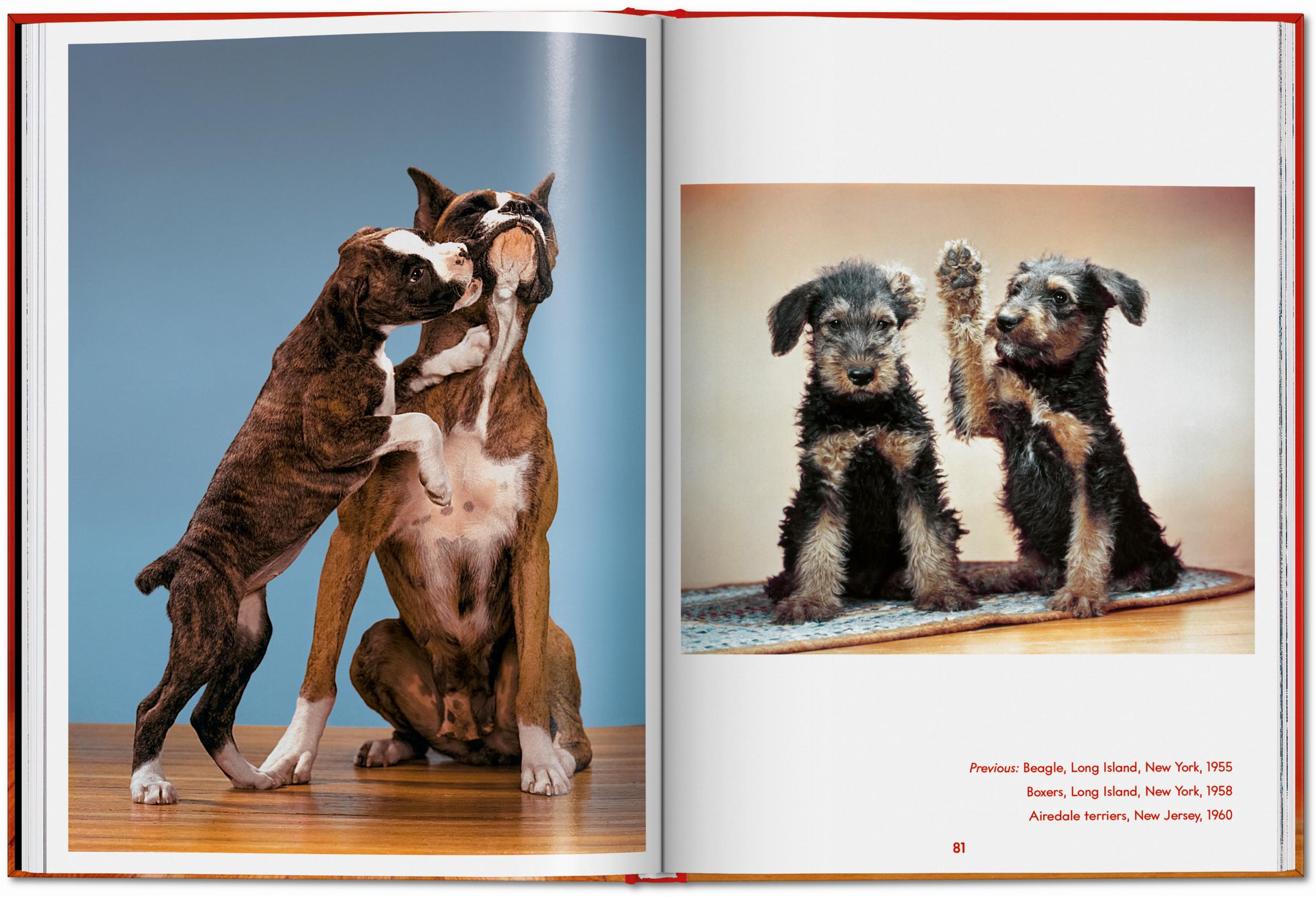 Taschen-Walter Chandoha. Dogs. Photographs 1941–1991 (English)-Photography-Black-Deal-Outlet-by-ARCHIVIST