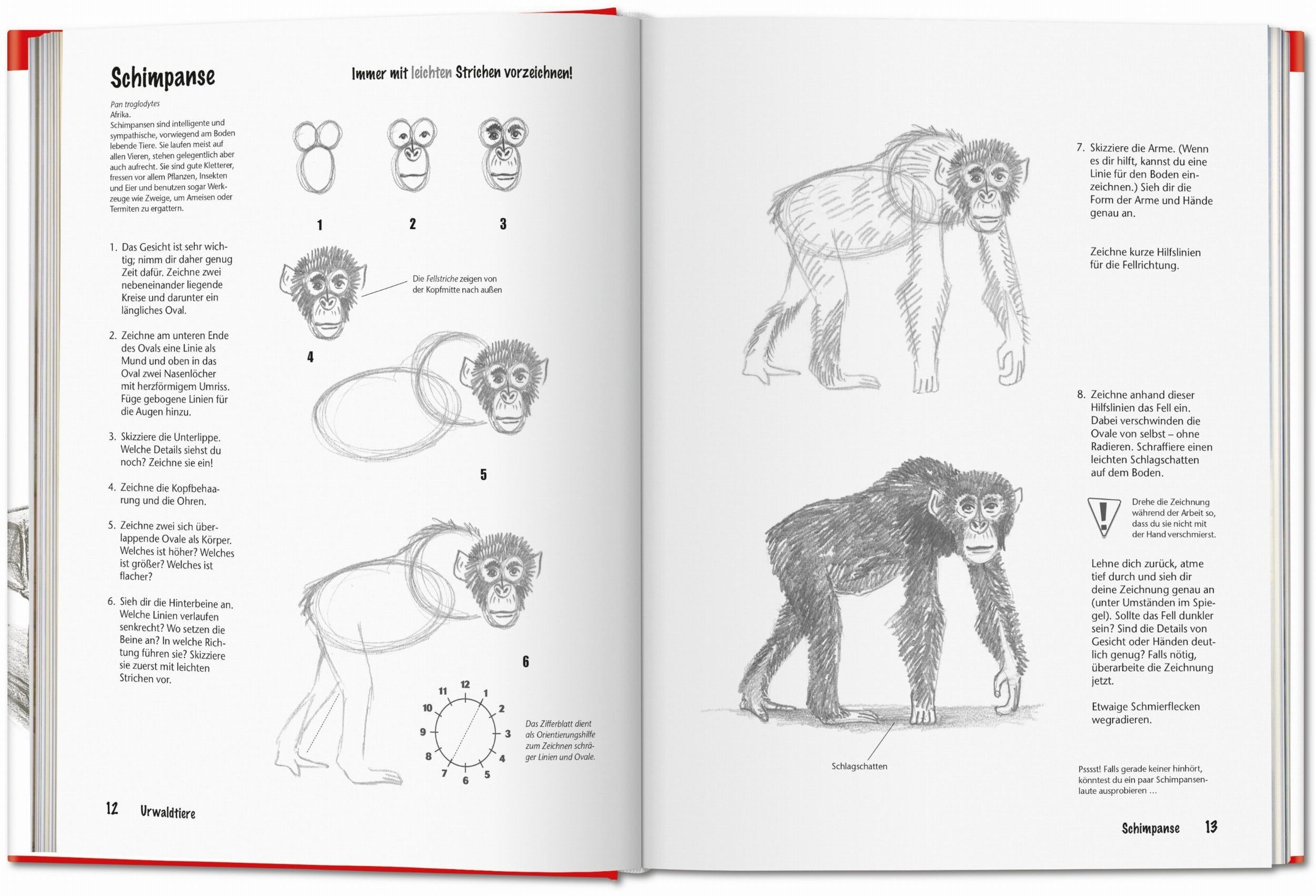 Taschen-Dessiner pas à pas (French)-Art-Black-Deal-Outlet-by-ARCHIVIST