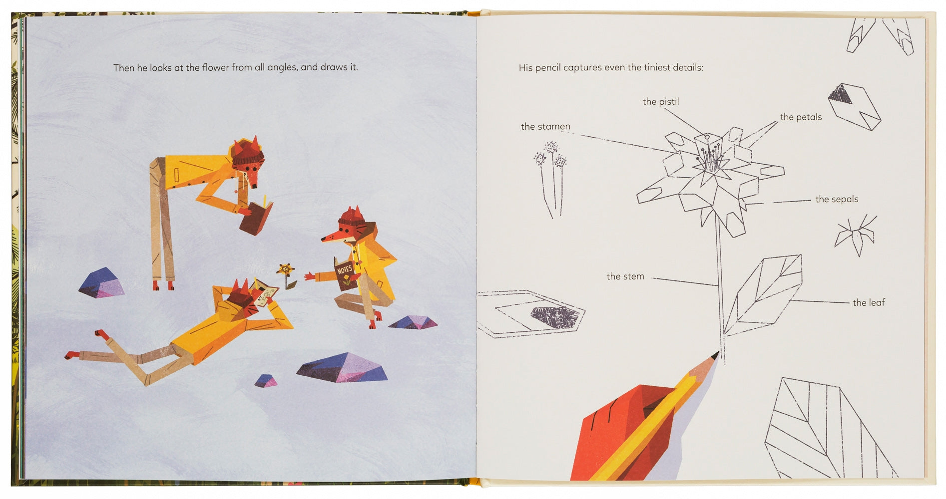 Gestalten Eu Shop-The Mystery of the Golden Wonderflower-Book-Black-Deal-Outlet-by-ARCHIVIST