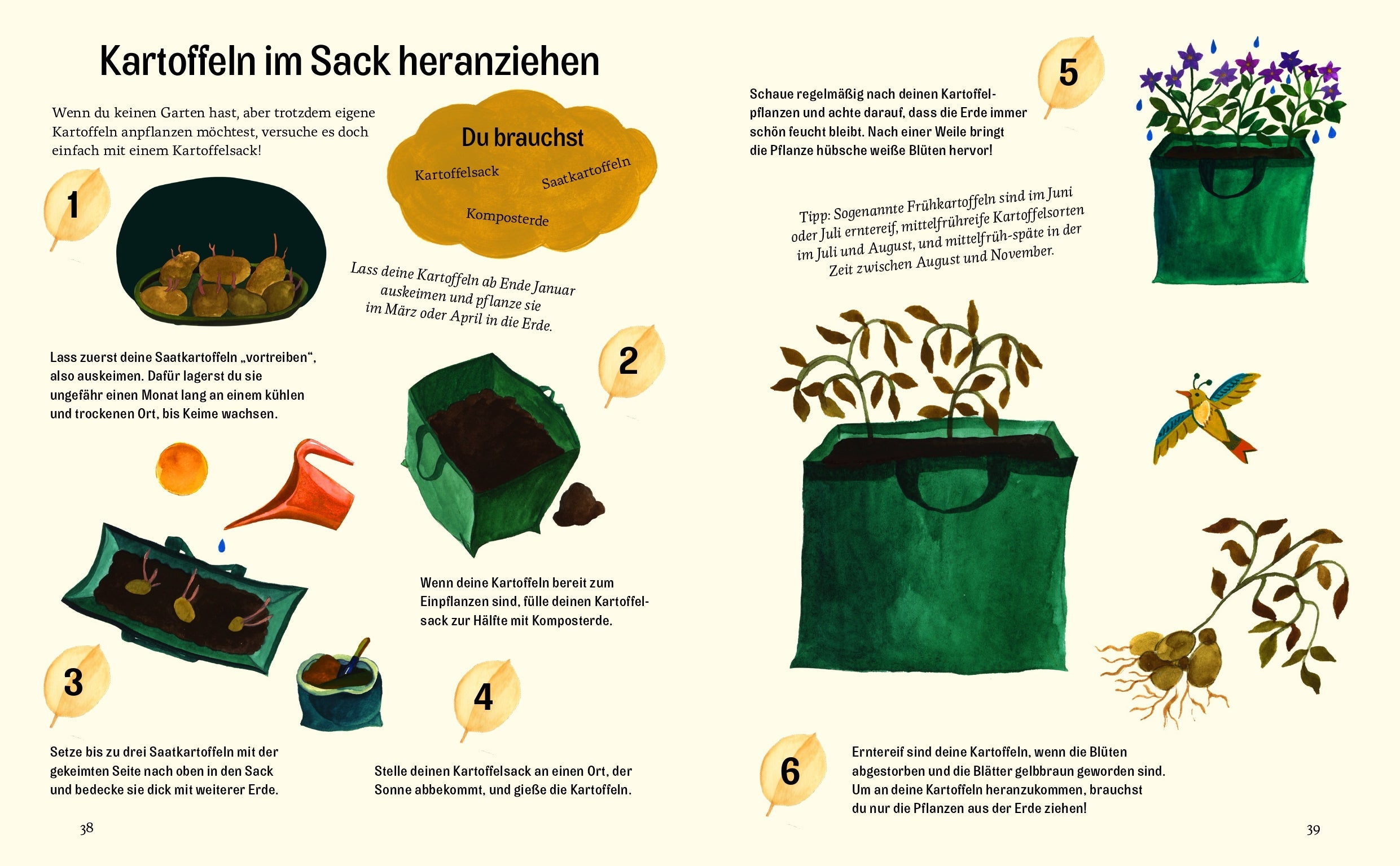 Gestalten Eu Shop-Kleine grüne Daumen-Book-Black-Deal-Outlet-by-ARCHIVIST