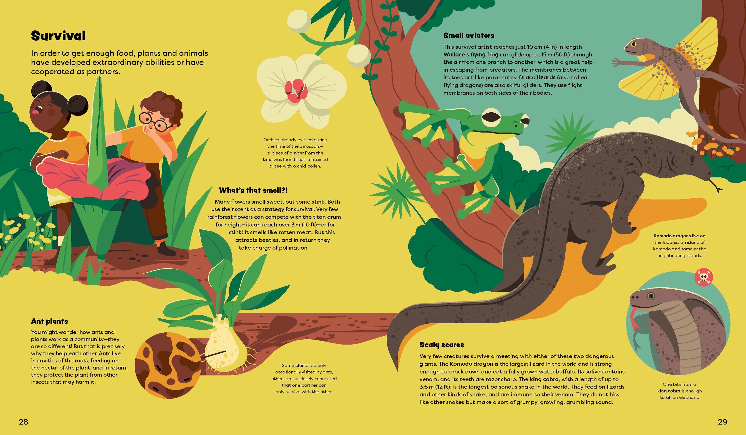 Gestalten Eu Shop-Explore the Rainforest-Book-Black-Deal-Outlet-by-ARCHIVIST