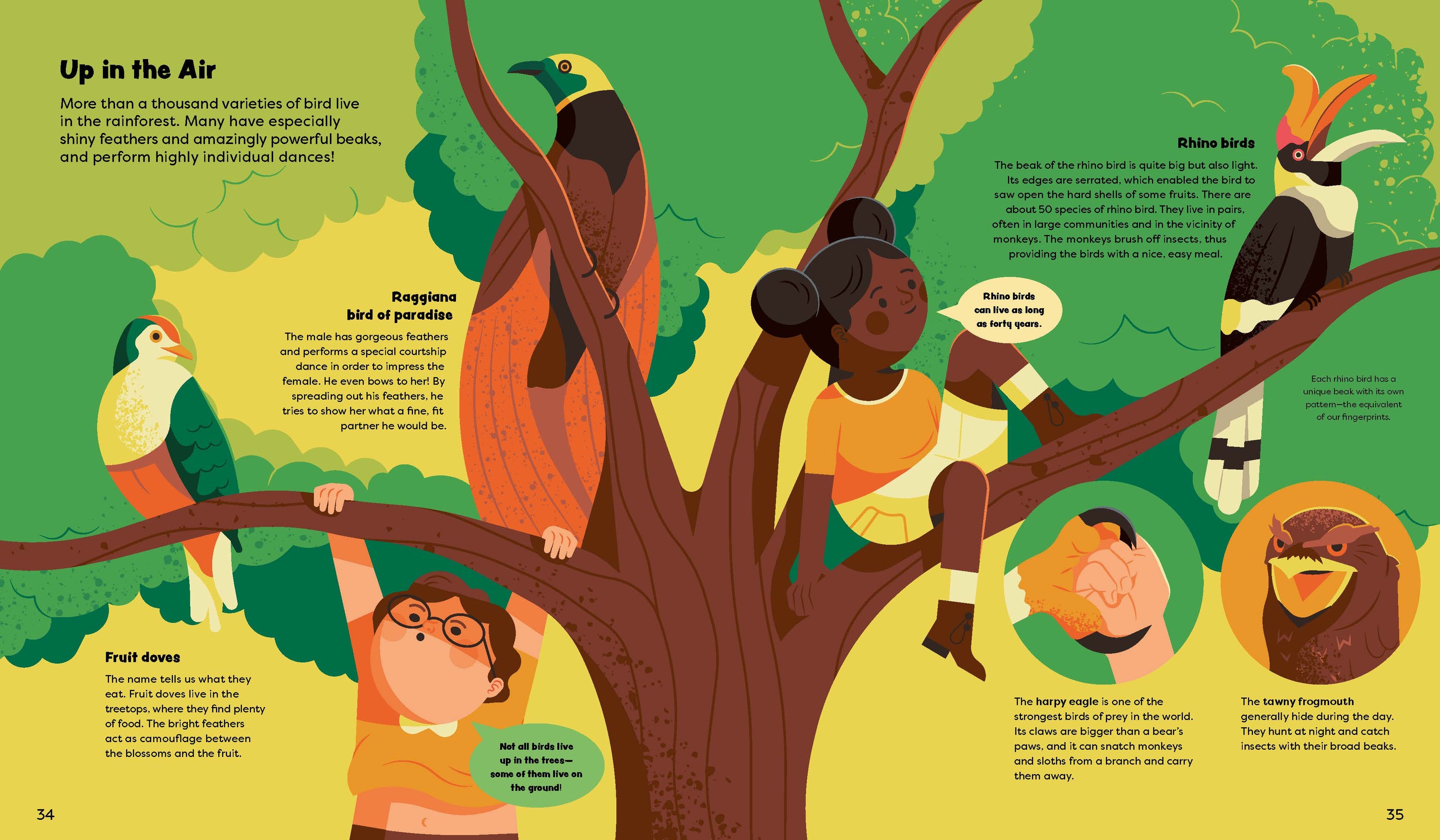 Gestalten Eu Shop-Explore the Rainforest-Book-Black-Deal-Outlet-by-ARCHIVIST