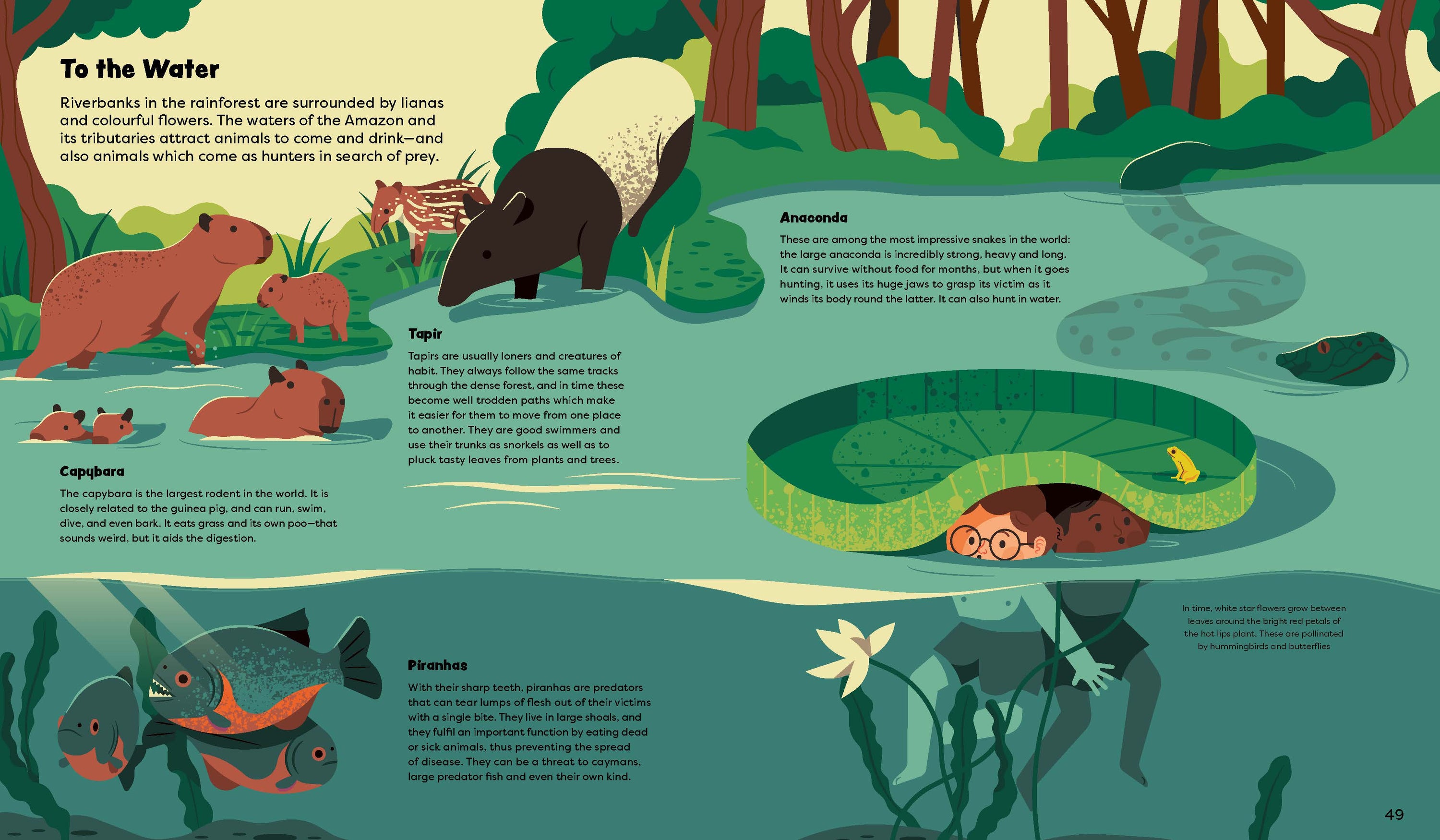 Gestalten Eu Shop-Explore the Rainforest-Book-Black-Deal-Outlet-by-ARCHIVIST