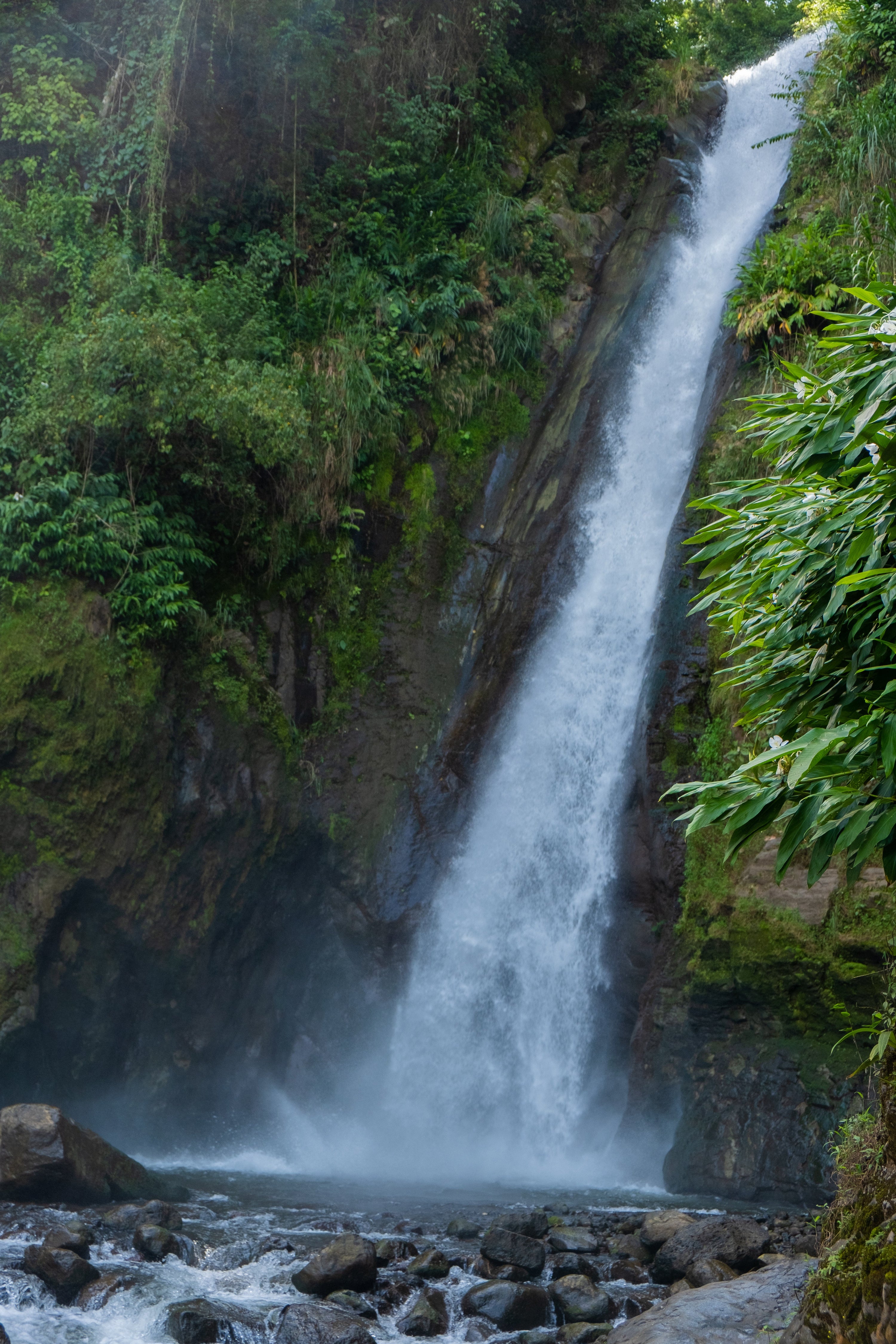 Paso Paso - Farmer Owned Coffee-Costa Rica - Diego Robelo - Centroamericano Anaerobic Natural-Black-Deal-Outlet-by-ARCHIVIST
