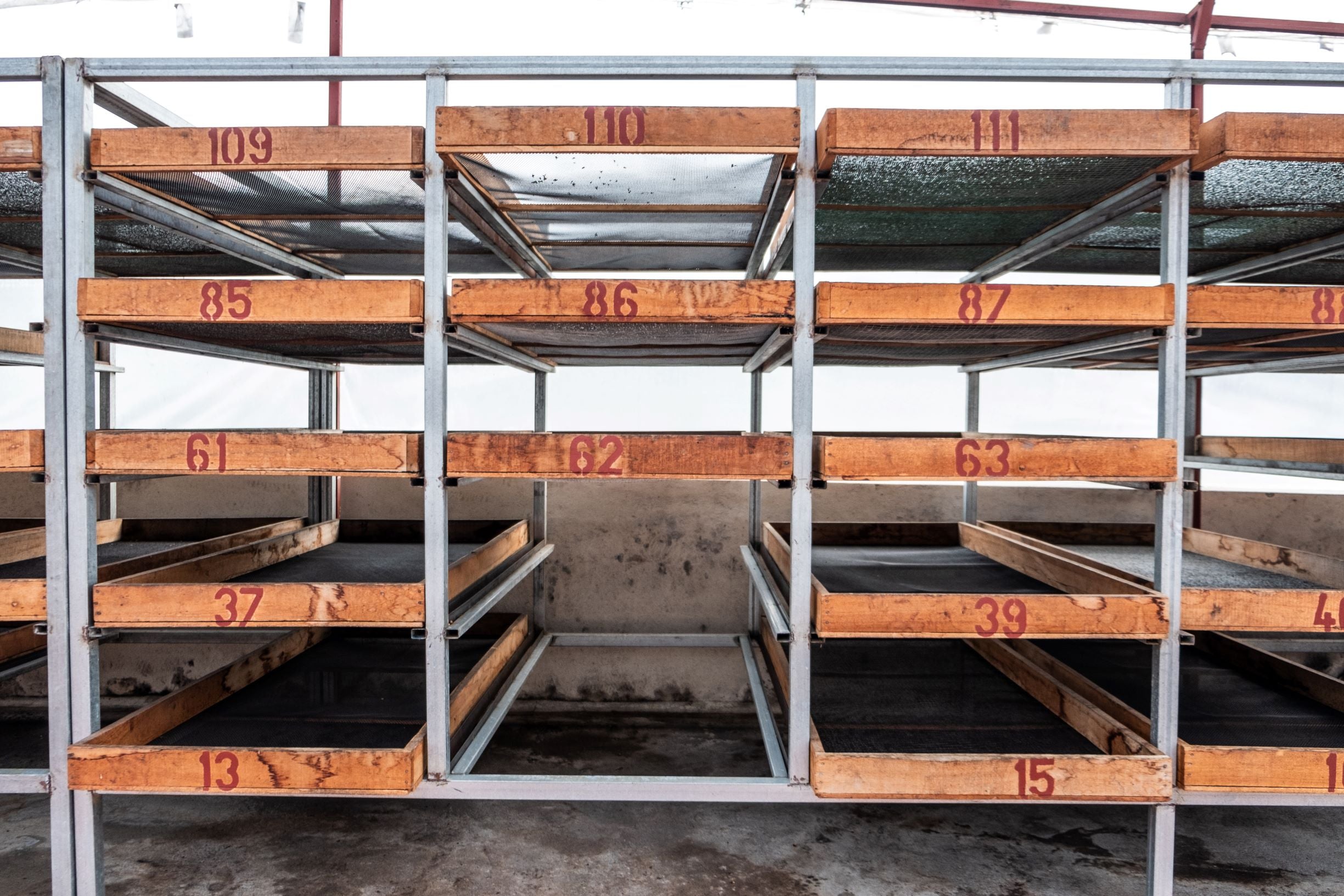 Paso Paso - Farmer Owned Coffee-Costa Rica - Diego Robelo - Centroamericano Anaerobic Natural-Black-Deal-Outlet-by-ARCHIVIST