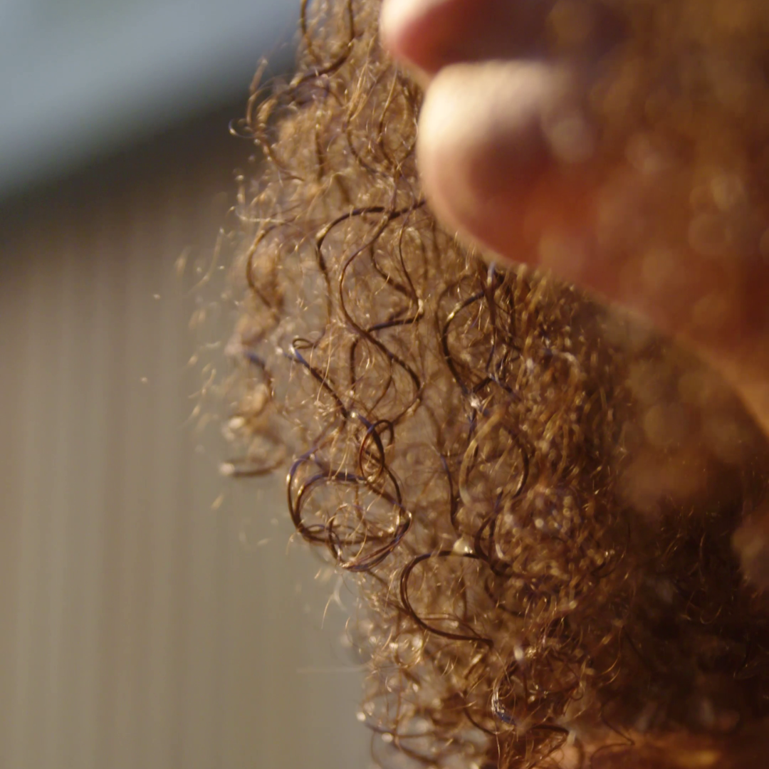 ∴ Therefore Beauty-NEU! complete care 003 | Pflegeöl für Gesicht, Körper, Haar | sanft mit Jojoba + Immortelle-facial oil-Black-Deal-Outlet-by-ARCHIVIST